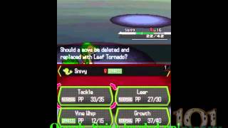 How To Obtain Everstones in Pokemon Black [upl. by Pompei]