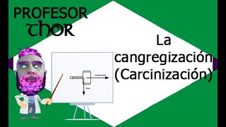 A la evolución le gustan los cangrejos [upl. by Steffen]