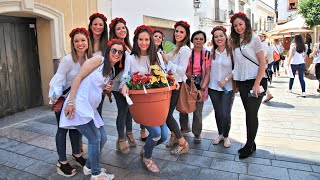 519 Day 33 西班牙 Antequera 安特克拉 → Córdoba哥多華 → Setenil de las Bodegas 嵌入岩石內的山村 → RONDA隆達 [upl. by Llejk]