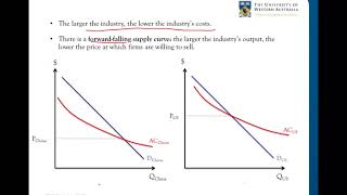 62  External Economies of Scale [upl. by Kape592]