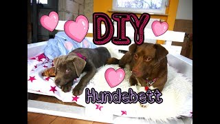 ♥ DIY♥ Hundebett aus Paletten [upl. by Nedloh663]