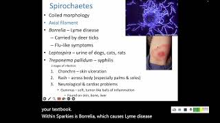 114 Nonproteobacteria and Archaea [upl. by Sitsuj33]