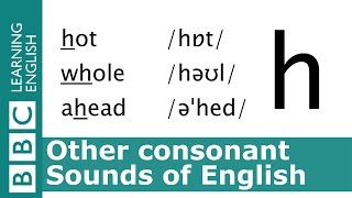 English Pronunciation 👄 Voiceless Consonant  h  hot whole and ahead [upl. by Tuckie]