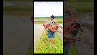 Amazing rice planting machine ricetransplanter shorts [upl. by Ttreve]