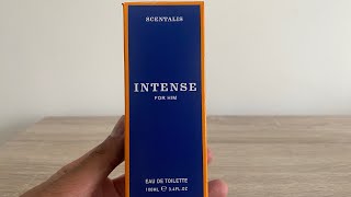 £4 Terre D’Hermes Dupe from Poundland that comes SURPRISINGLY CLOSE  Scentalis Intense [upl. by Africah]