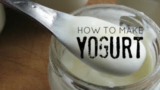 How to Make Homemade Yogurt [upl. by Ayaj93]