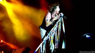 Aerosmith  Cryin Live São Paulo Brasil 2010 HD [upl. by Painter]