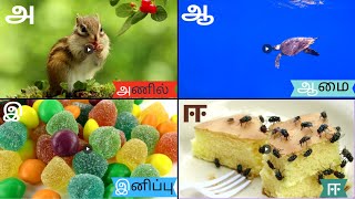 உயிர் எழுத்துக்கள் Uyir Ezhuthukal  Tamil Alphabet for kids  அ ஆ இ ஈ with videomamotu [upl. by Tollman]