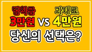 싼 고지서 금액 선택했다가 보험료 할증 폭탄 맞을 수 있다 범칙금 VS 과태료 [upl. by Ilatfan510]