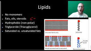 AP Bio Macromolecules  Part 1 [upl. by Atnuahsal]