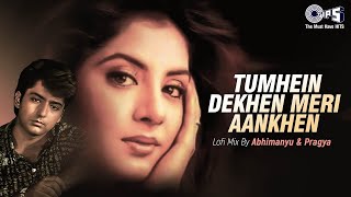 Tumhein Dekhen Meri Aankhen Lofi Mix  Rang  Divya Bharti  Alka Yagnik Kumar Sanu [upl. by Hadeis837]