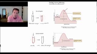 Energiediagrammen  Scheikundelessennl [upl. by Nylrak893]