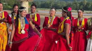 Nara julus tharu song [upl. by Nalyd]