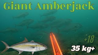 Spearfishing Giant Amberjack  Dev Kuzu Avı 18 [upl. by Ihsakat]