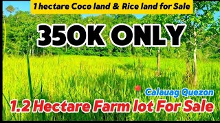 V166🥰 1 Hectare Farm lot 4 sale 350k only nyogan palayan [upl. by Mundt311]