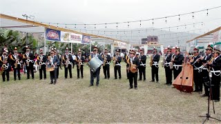 ORQUESTA MATICES DEL PERU DE JULIO ROSALES HUAYNITO MULIZA Y TUNANTADA [upl. by Ppik77]