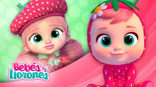 🍓 ELLA ha CRECIDO 🍓 CAPÍTULOS de BFF 💗 BEBES LLORONES 💧 LÁGRIMAS MÁGICAS 💕 DIBUJOS ANIMADOS ESPAÑOL [upl. by Nolahs]