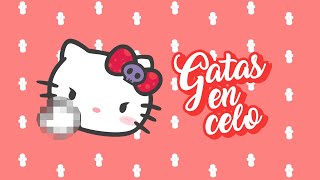 Gatas en CELO  ¿Cómo sobrellevar esta DIFÍCIL ETAPA 😾🚺♀ [upl. by Luiza257]