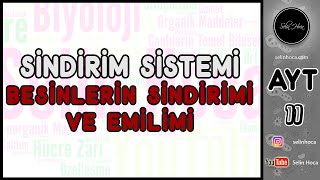 18 Sindirim Sistemi  Besinlerin Sindirimi ve Emilimi [upl. by Buell816]