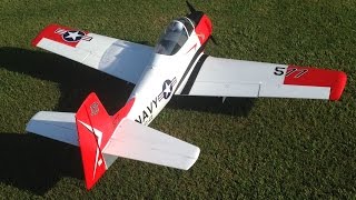 Giant Eflite Carbon Z T28 T28 Fun Flight With 6S 8000mAh Lipo [upl. by Odeen]