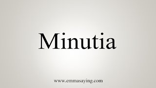 How To Say Minutia [upl. by Mann]