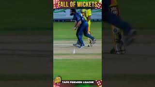 Fall Of Wickets cricketlover gullycricket cricketgame streetcricket tapeballcricket [upl. by Rowley76]