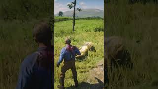 Lion Attacks in this GAME are Insane [upl. by Alol22]