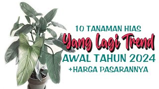 10 Tanaman Hias Yang Lagi TREND AWAL TAHUN 2024 [upl. by Stralka]