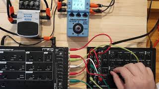 Moog Mavis and Moog Werkstatt Jam 2 [upl. by Able579]