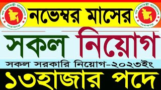 ১৩হাজার পদে নভেম্বর মাসের সকল সরকারি নিয়োগ 2023সরকারি চাকরির নিয়োগgovernment jobSR Job Life [upl. by Shirl]