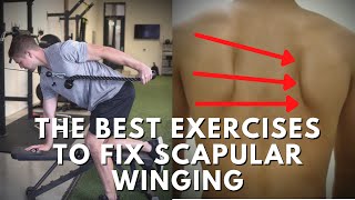 Effective Exercises To Fix Scapular Winging  Targeting The Weak Muscles [upl. by Oberheim]