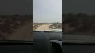 Cholistan Rally 2018 [upl. by Desta]