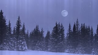 Februarys Full Snow Moon [upl. by Orban]