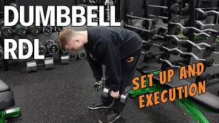 Dumbbell Romanian Deadlift  Set Up amp Execution [upl. by Semadar506]