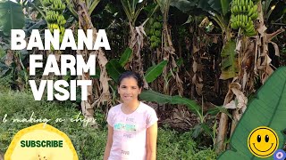 Banana farm visit [upl. by Nannah]