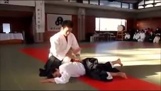 Ueshiba Mitsuteru Waka Sensei en el 45th Iwate University Aikido Demonstration [upl. by Llednew]