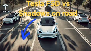 FSD v1254 Struggle with shadows on the road on 1002 [upl. by Atsocal]