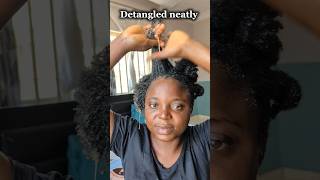 THE BEST PREPOO  DETANGLE REGIME FOR 4C HAIR  NO MORE HAIR LOSS haircare washday [upl. by Esilec]