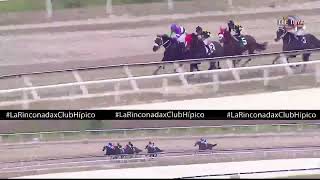 FAST SENSATIONS👉 C133 CLASICO PEGGY AZQUETA LA RINCONADA 14 DE ABRIL 2024 [upl. by Iegres]