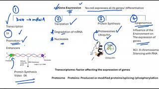 01 Gene Expression Overview [upl. by Koh113]