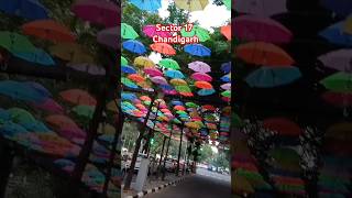 Chandigarh Sector 17 dewali happydewali sector17 chandigarh comingsoon [upl. by Ellennoj]