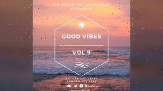 Good Vibes Vol9  Jean Luc Verna Summer Mix 2024 [upl. by Weisbart]