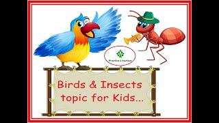 Birds and Insects for Kids  EVS for Kids  Science for Kids  Grade1  Class1 [upl. by Galven]