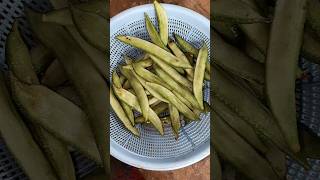 Sem ki sabji l broad beans recipe [upl. by Raffo]