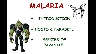 How does malaria spread Part 1 malaria disease [upl. by Halfdan705]