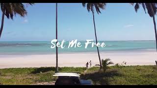 Set Me Free  Timmy Commerford Tanishq amp Indiroots OFFICIAL LYRIC VIDEO [upl. by Esirrehc93]