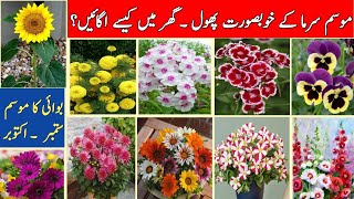 Top 20Winter Flowering Plant Which You Can Grow Seedsموسم سرما کے خوبصورت پھول گھر پر کیسے اگائیں [upl. by Iives]