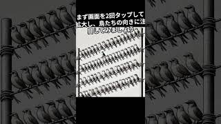 たくさんの鳥が止まっている電線の上から、1羽だけ逆向きの鳥を探せますか？ 違和感 違いを見つける 違い ショート 違う [upl. by Gaw]