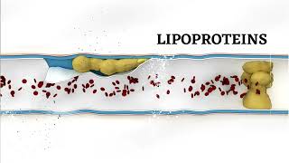 ASCP  MLS  MLT  Chemistry  Proteins part 3 [upl. by Sessylu]