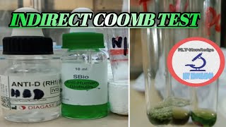 Indirect coomb testIndirect antiglobulin test procedure [upl. by Brigit76]